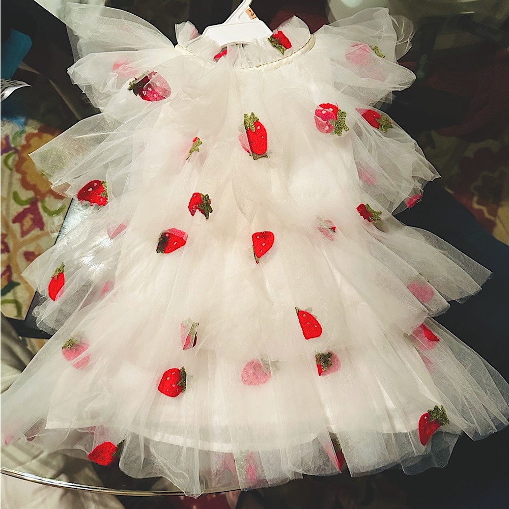 White layered tulle dress with embroidered strawberries. Lola toddler size 2